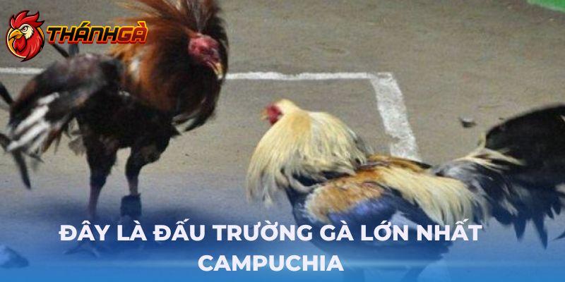 Đây là đấu trường gà lớn nhất Campuchia