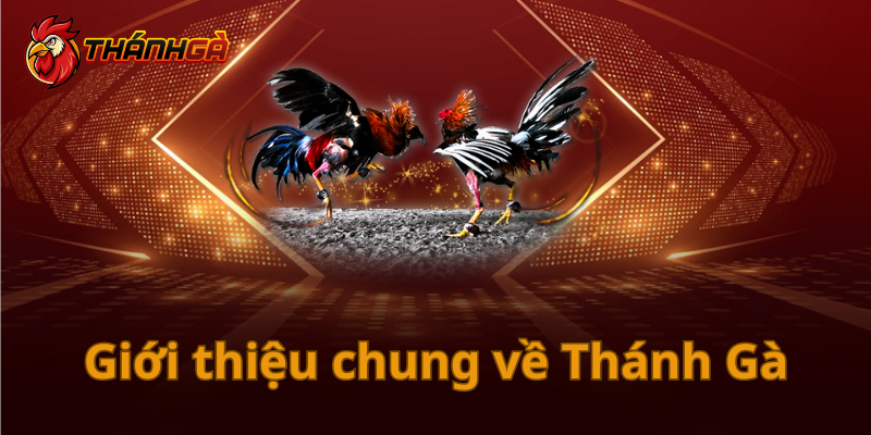 Giới thiệu chung về Thánh Gà