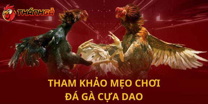 Lưu ý mẹo chơi đá gà hiệu quả theo hình thức cựa dao