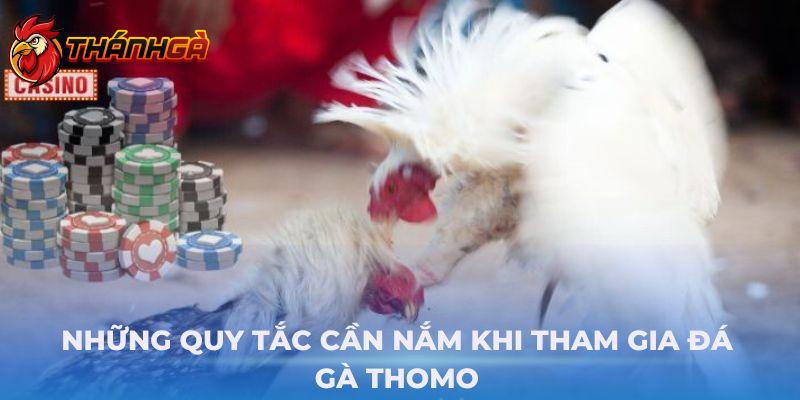 Những quy tắc cần nắm khi tham gia Đá gà Thomo