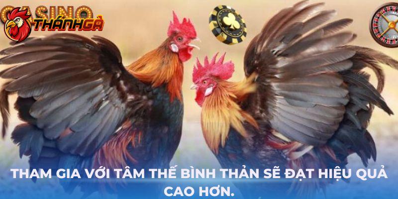 Tham gia Đá gà Thomo với tâm thế bình thản sẽ đạt hiệu quả chơi cao hơn