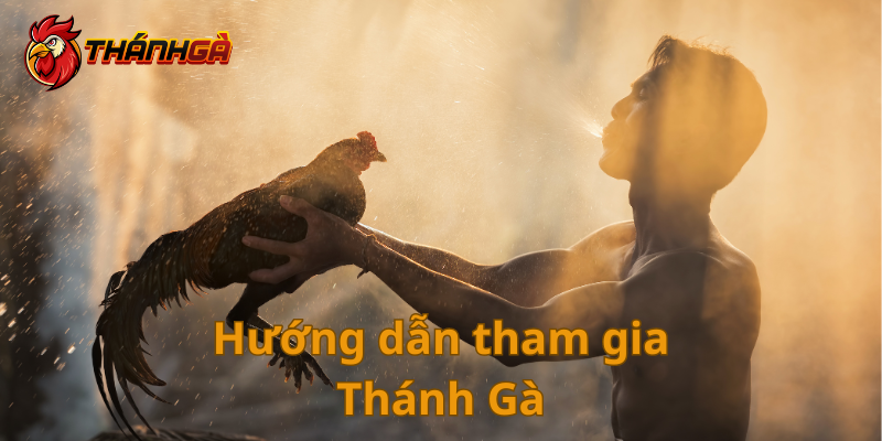 Cách thức tham gia Thánh Gà dễ dàng, nhanh chóng